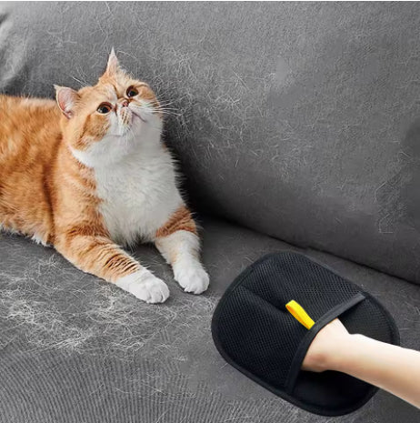 PET Fur Remover Glove